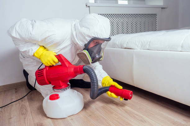 Best Pest Removal Services  in Collinsville, VA